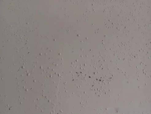 砂漿起泡展示圖