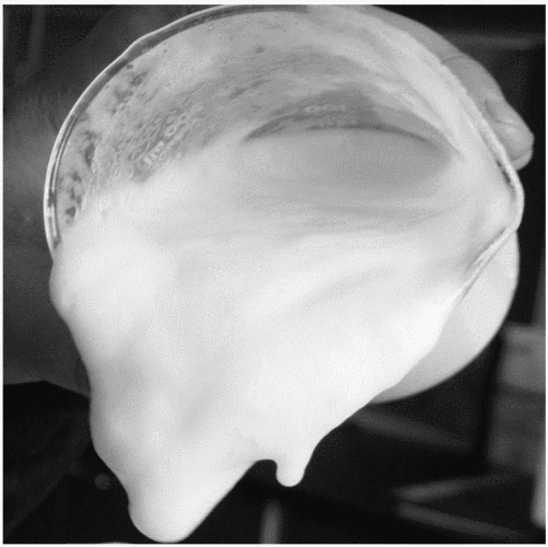 徳謙消泡劑應(yīng)用場景